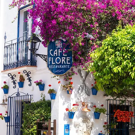 Rincon Mediterraneo 522