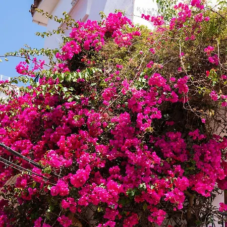 Rincon Mediterraneo 522 Apartment Marbella