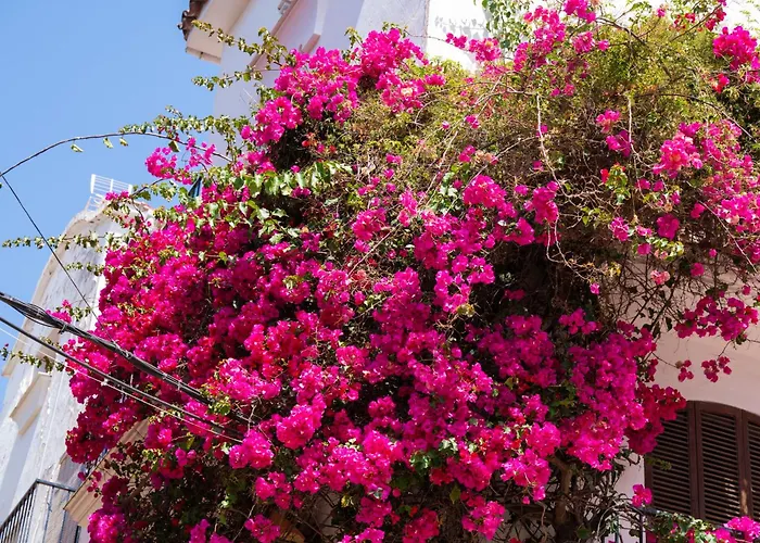 Rincon Mediterraneo 522 Lägenhet Marbella